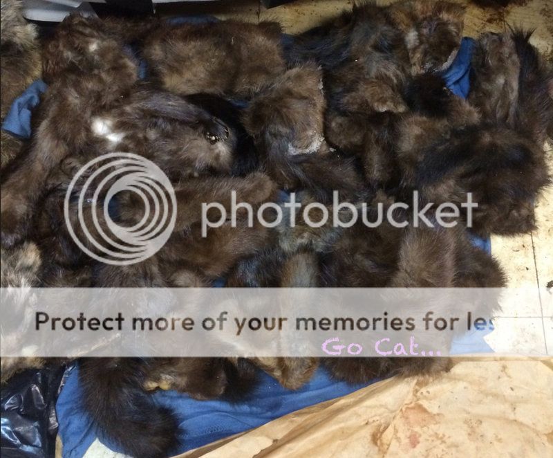 Fur! New Jersey Hunters